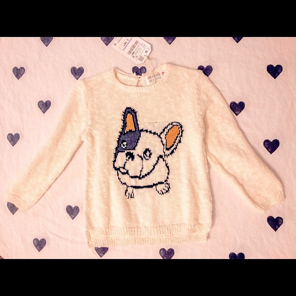 Zara Frenchie Sweater